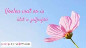 astrid wessels coaching blog